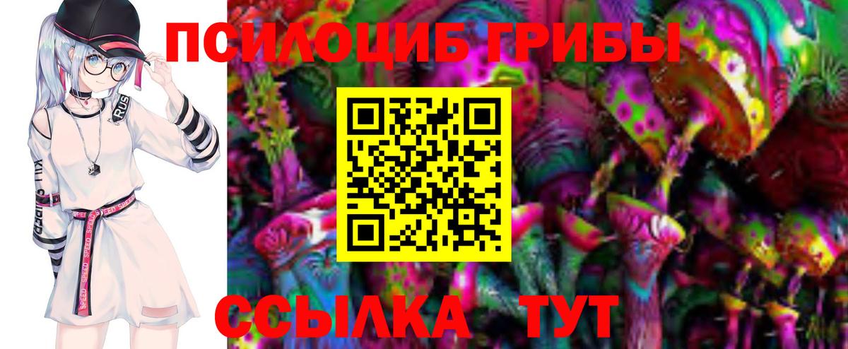 Галлюциногенные грибы Cubensis Ликино-Дулёво