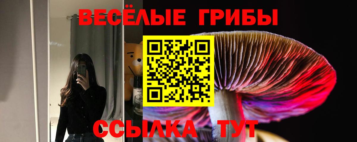 Ликино-Дулёво  Галлюциногенные грибы Magic Shrooms  Вход с VPN 